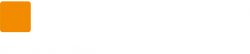 Logo Schleuniger